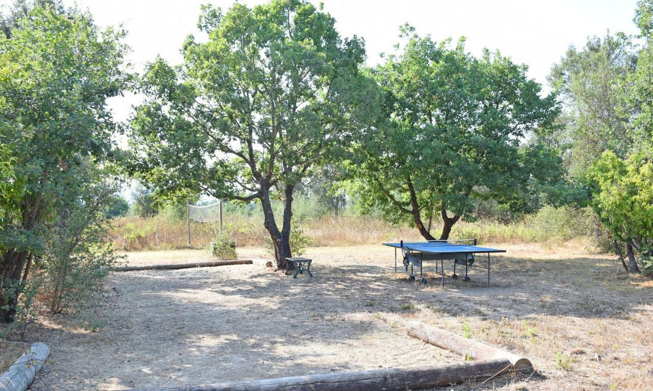 Villa Locations "Chezchristine Aleria" A Aleria Esterno foto